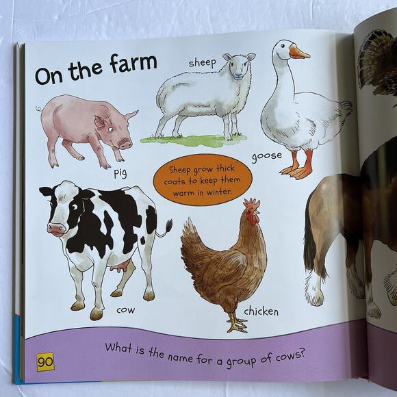 First Words and Numbers by Sarah Parkin Miles Kelly Hardcover Book - Picture 7 of 9